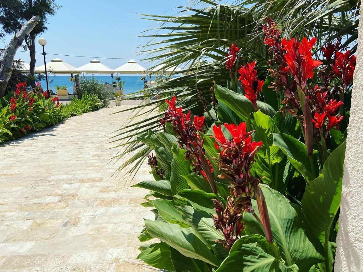 Apartments Kuce Lekovica Beach & Snack Bar- Bistro Eksteriør billede