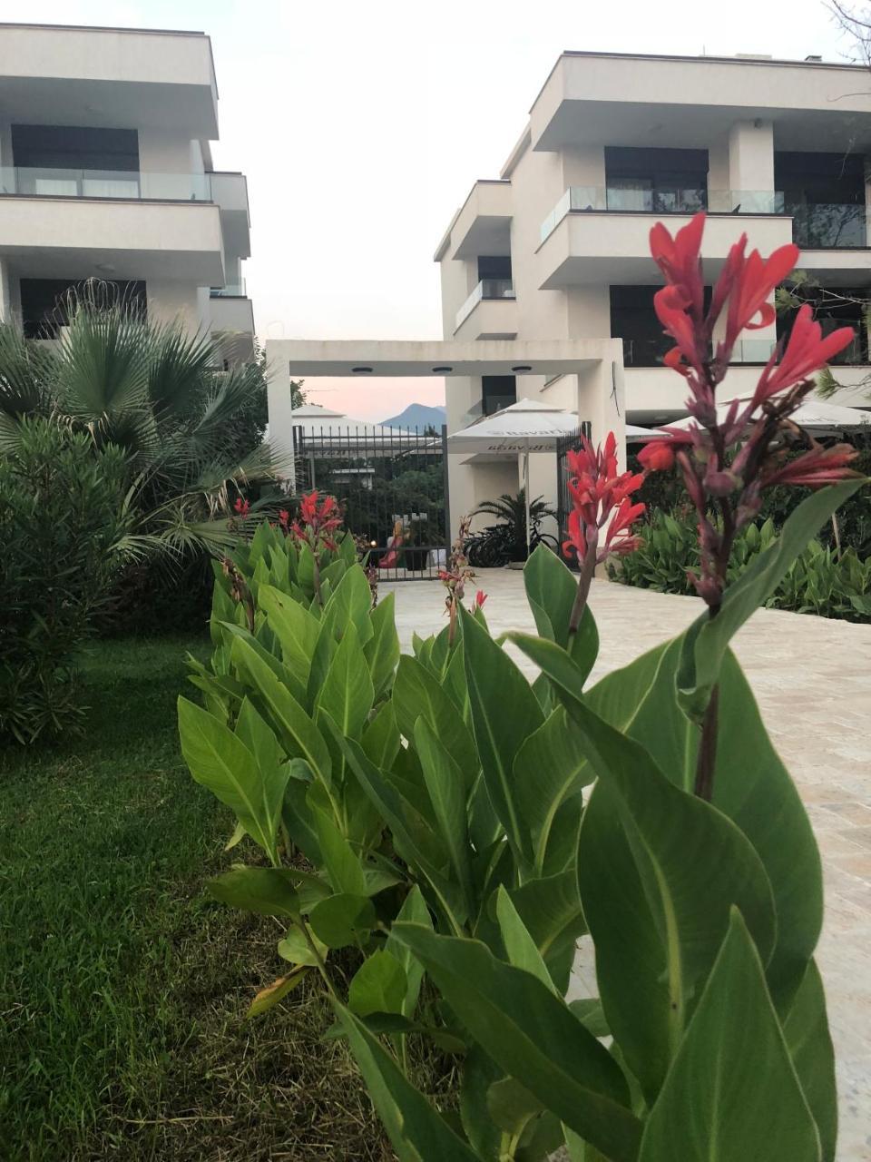 Apartments Kuce Lekovica Beach & Snack Bar- Bistro Eksteriør billede