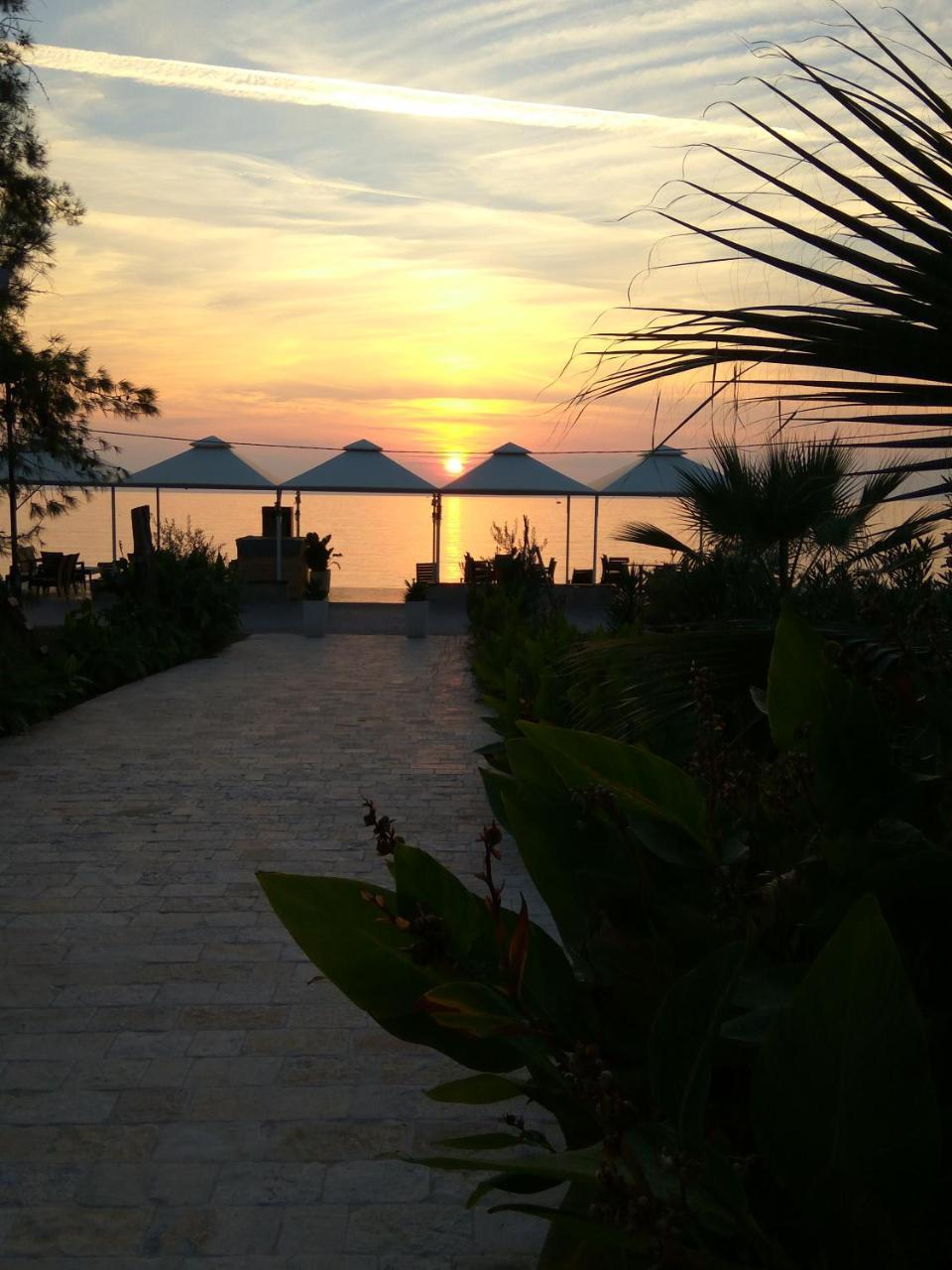 Apartments Kuce Lekovica Beach & Snack Bar- Bistro Eksteriør billede